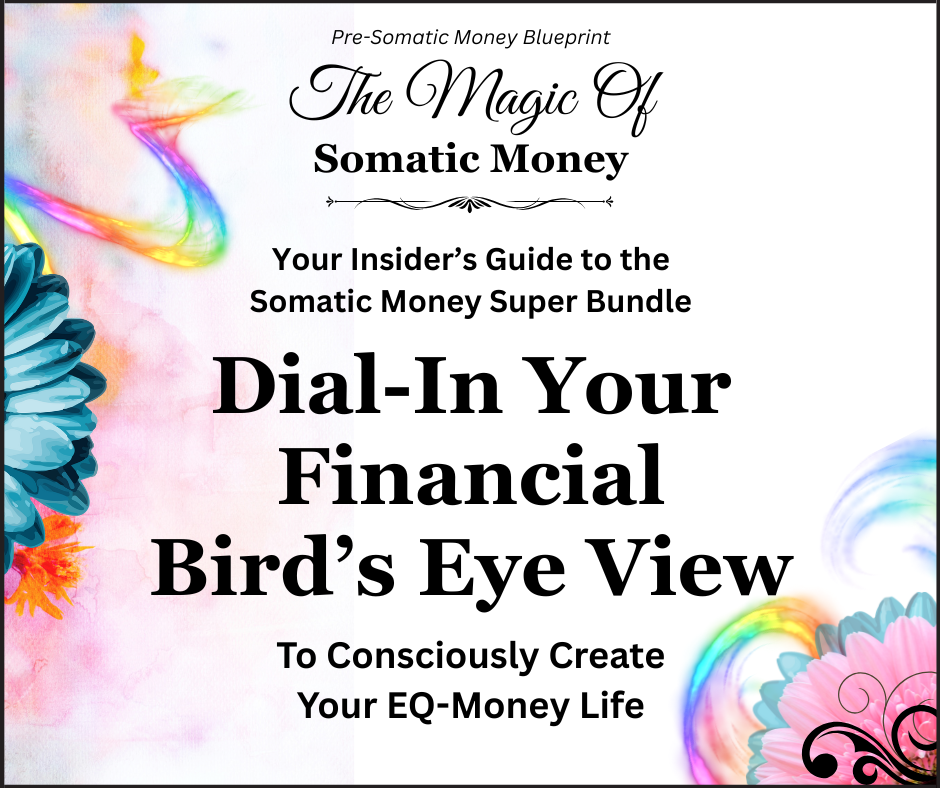 DIAL-IN YOUR FINANCIAL BIRD'S EYE VIEW / 69-Minute VIDEO / 16-Page PDF