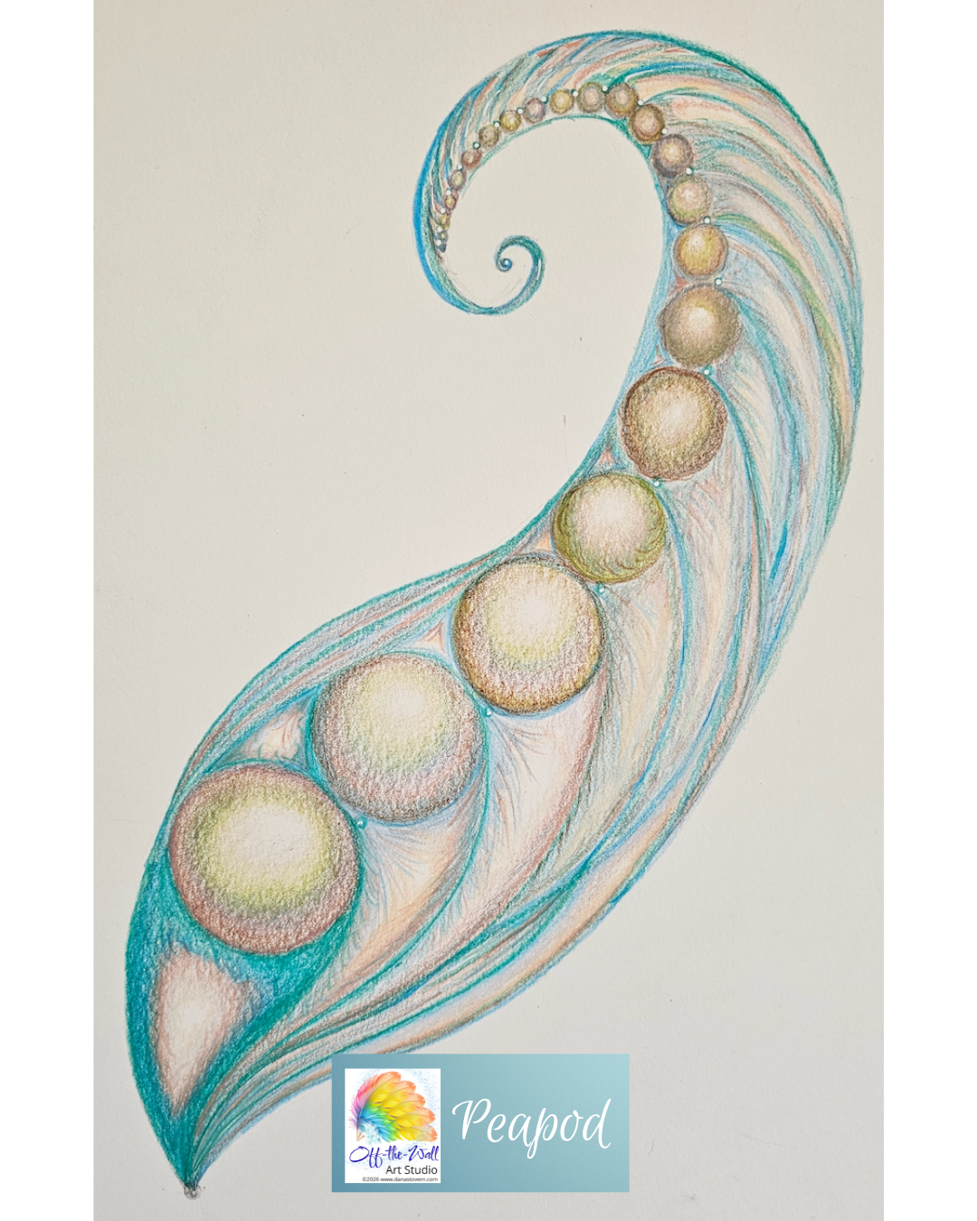 LTD EDITION SIGNED MATTE PRINTS IN 3 SIZES FOR "PEAPOD" WITH COLORED PENCIL